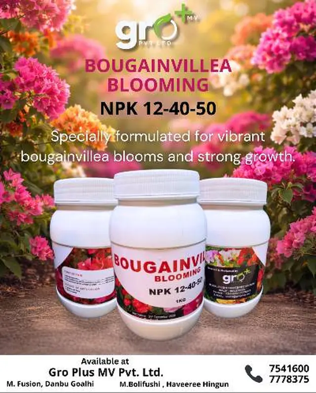 Gro+ Bougainvillea Blooming Fertilizer NPK 12-40-50 — 1 kg — NPK 12-40-50 bougainvillea bloom fertilizer in a 1 kg jar