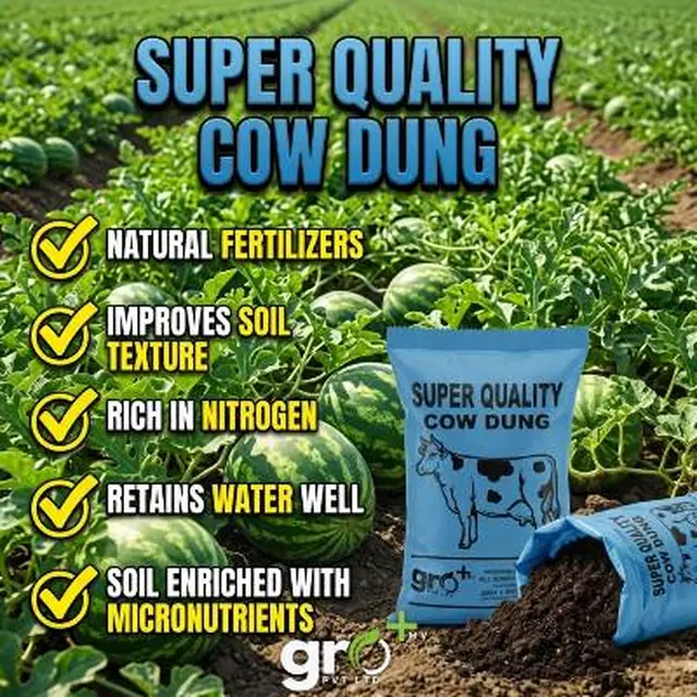 Super Quality Cow Dung — Bagged cow dung manure